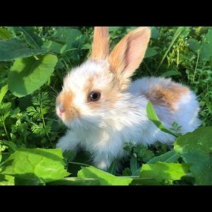 Meet your Posher, Noel